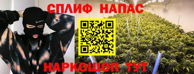 шишки Апшеронск