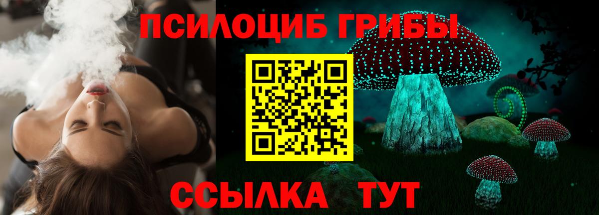 Галлюциногенные грибы прущие грибы  Вход с VPN  Владивосток 